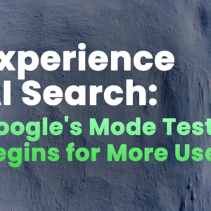 Google AI test searches