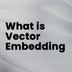 Vector embedding